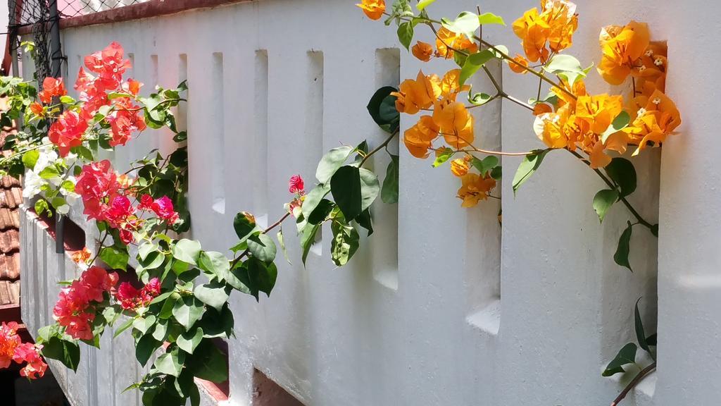 Hotel Desitha Family House Mirissa Exterior foto